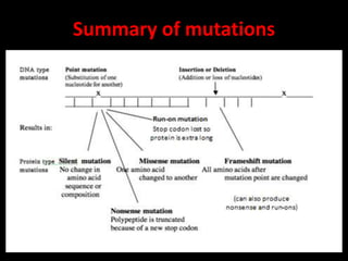 Mutation & its types | PPT