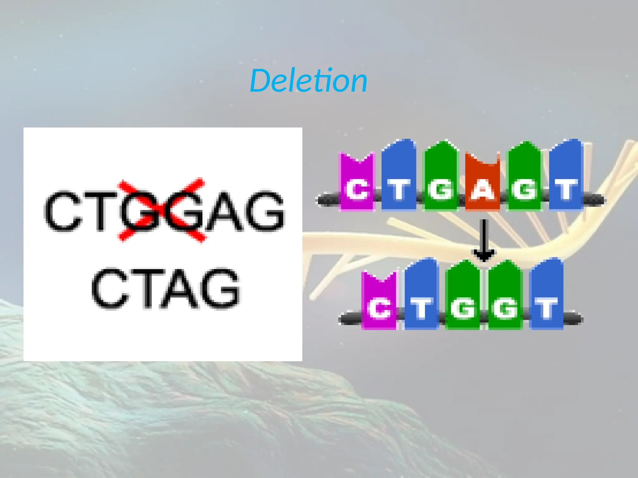 LECTURE PRESENTATION ON MUTATION FOR GRADE 10 SCIENCE | PPTX