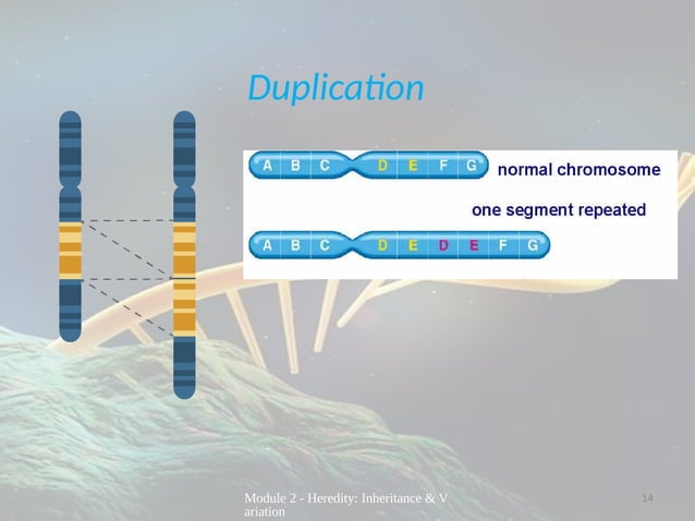 LECTURE PRESENTATION ON MUTATION FOR GRADE 10 SCIENCE | PPTX