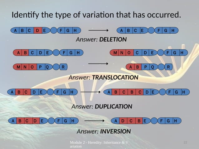 LECTURE PRESENTATION ON MUTATION FOR GRADE 10 SCIENCE | PPTX