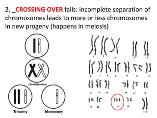 2. _CROSSING OVER fails: incomplete separation of
chromosomes leads to more or less chromosomes
in new progeny (happens in meiosis)
 