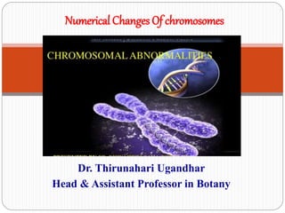 Dr. Thirunahari Ugandhar
Head & Assistant Professor in Botany
Numerical Changes Of chromosomes
 