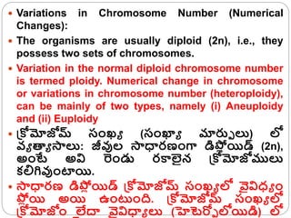  Variations in Chromosome Number (Numerical
Changes):
 The organisms are usually diploid (2n), i.e., they
possess two sets of chromosomes.
 Variation in the normal diploid chromosome number
is termed ploidy. Numerical change in chromosome
or variations in chromosome number (heteroploidy),
can be mainly of two types, namely (i) Aneuploidy
and (ii) Euploidy
 క్రోమోజోమ్ సంఖ్య (సంఖ్యయ మార్పు లు) లో
వ్య త్యయ సాలు: జీవుల సాధారణంగా డిప్ల
ో యిడ్ (2n),
అంటే అవి రండు రకాలైన క్రోమోజోములు
కలిగివుంటాయి.
 సాధారణ డిప్ల
ో యిడ్ క్రోమోజోమ్ సంఖ్య లో వైవిధ్య ం
ప్ల
ప్ల
ో యి అయి ఉంటంది. క్రోమోజోమ్ సంఖ్య లో
క్రోమోజోం లేదా వైవిధాయ లు (హెటెర్పు లోయిడి) లో
 