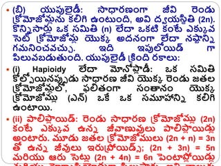  (బి) యుపులైడీ: సాధారణంగా జీవి రండు
క్రోమోజోమోను కలిగి ఉంటంది, అవి ద్వ యప్ల
స్ితి (2n).
కొన్ని సార్పో ఒక సమితి (n) లేదా ఒకటి కంటే ఎక్కక వ్
సెట్ క్రోమోజోమో యొకక అద్నంగా లేదా నష్ట
ట న్ని
గమన్నంచవ్చుు . ఇది ఇపులోయిడ్ గా
పిలువ్బడుతంది. యుపులైడీ క్రకింది రకాలు:
 (i) Hapioidy లేదా మోనోప్ల
ో డీ: ఒక సమితి
ోలోు యినపుు డు సాధారణ జీవి యొకక రండు జతల
క్రోమోజోమోలో, ఫలితంగా సంత్యనం యొకక
క్రోమోజోముో (ఎన్) ఒకే ఒక సమూహాన్ని కలిగి
ఉంటాయి.
 (ii) ప్లలిప్ల
ో యిడ్: రండు సాధారణ క్రోమోజోముో (2n)
కంటే ఎక్కక వ్ ఉని జీవాణువులు ప్లలిప్ల
ో యిప్ల
డుో
అంటార్ప. మూడు జతల క్రోమోజోములు (2n + n) = 3n
తో ఉని జీవులు ఇర్పక్రప్లయిడ్్ ; (2n + 3n) = 5n
మరియు ఆర్ప సెటో (2n + 4n) = 6n పంటాప్ల
ో యిప్ల
డుో
 