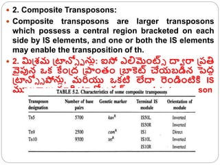  2. Composite Transposons:
 Composite transposons are larger transposons
which possess a central region bracketed on each
side by IS elements, and one or both the IS elements
may enable the transposition of th.
 2. మిక్రశమ క్రటానో్ ు నుో: ఐసో ఎలిమంట్్ దావ రా క్రరతి
వైపున ఒక కేంక్రద్ క్రప్లంతం క్రబ్యక్వట్ చేయబడిన పద్ి
క్రటానో్ ్ ప్లనుో, మరియు ఒకటి లేదా రండింటికి IS
మూలకాలు పూరిర క్రటానో్ ు సన్e complete transposon
 
