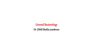 General Bacteriology
Dr. (NM) Shehla unmbreen
 