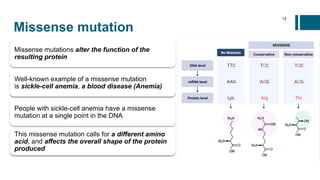 Mutation, Polymorphisms, SNPs and Chromosomal mutation.pptx