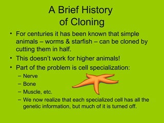 A Brief History
                  of Cloning
• For centuries it has been known that simple
  animals – worms & starfish – can be cloned by
  cutting them in half.
• This doesn’t work for higher animals!
• Part of the problem is cell specialization:
  –   Nerve
  –   Bone
  –   Muscle, etc.
  –   We now realize that each specialized cell has all the
      genetic information, but much of it is turned off.
 