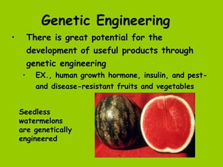 Genetic Engineering
•        There is great potential for the
         development of useful products through
         genetic engineering
     •     EX., human growth hormone, insulin, and pest-
           and disease-resistant fruits and vegetables


    Seedless
    watermelons
    are genetically
    engineered
 