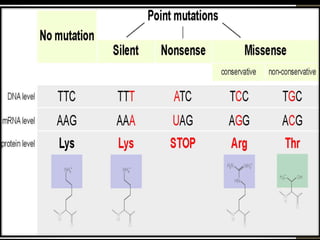 Mutation | PPTX