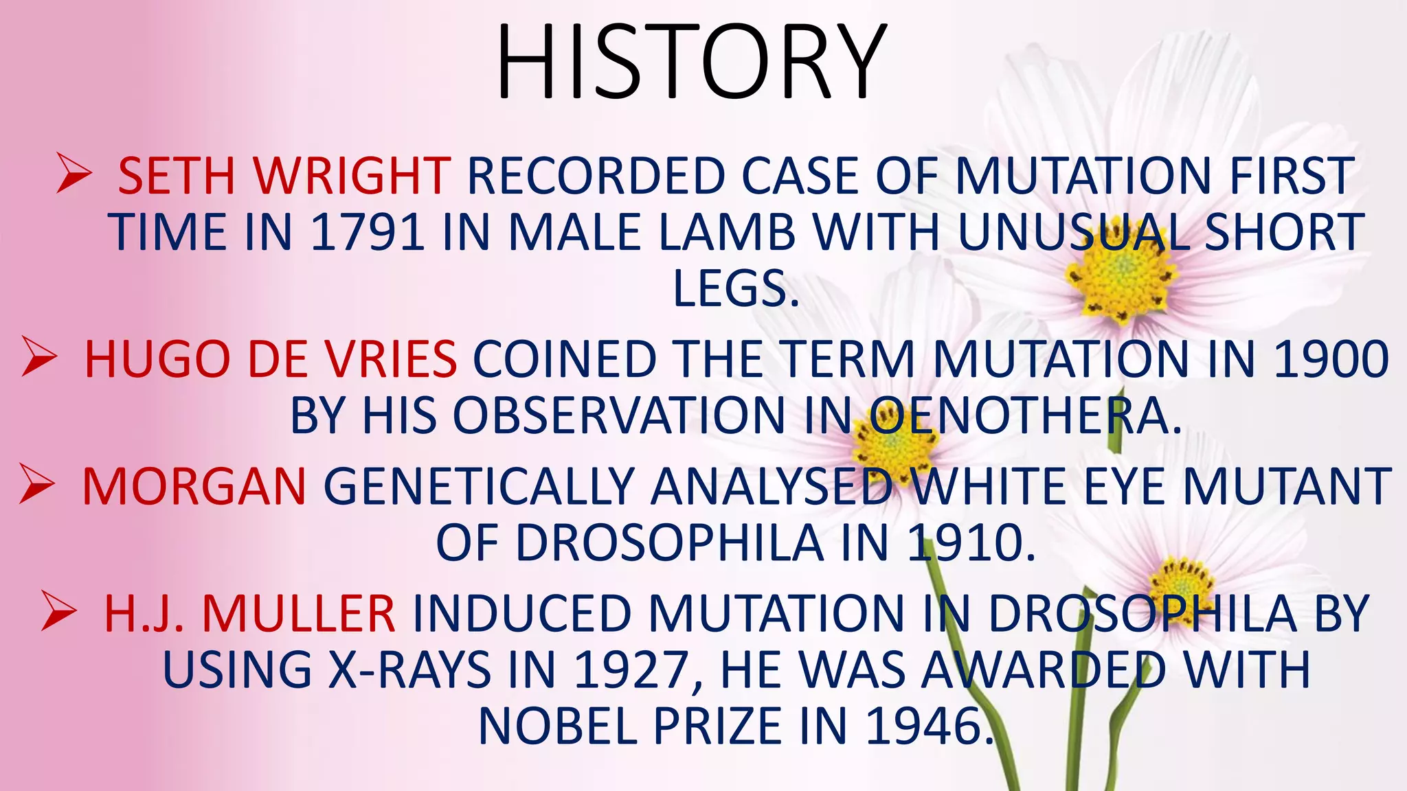 Mutation ppt - all types of mutation - gene mutation chromosome ...