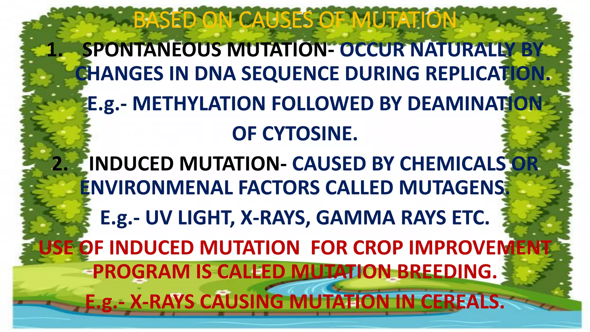 Mutation ppt - all types of mutation - gene mutation chromosome ...