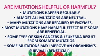 ARE MUTATIONS HELPFUL OR HARMFUL?
• MUTATIONS HAPPEN REGULARLY
• ALMOST ALL MUTATIONS ARE NEUTRAL.
• MANY MUTATIONS ARE REPAIRED BY ENZYMES.
• MOST MUTATIONS HAVE HARMFUL EFFECT BUT SOME
ARE BENEFICIAL.
• SOME TYPE OF SKIN CANCERS & LEUKEMIA RESULT
FROM SOMATIC MUTATIOS.
• SOME MUTATIONS MAY IMPROVE AN ORGANISM’S
SURVIVAL (BENEFICIAL).
 