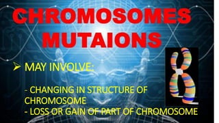  MAY INVOLVE:
- CHANGING IN STRUCTURE OF
CHROMOSOME
- LOSS OR GAIN OF PART OF CHROMOSOME
 