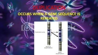 DUPLICATION
OCCURS WHEN A GENE SEQUENCE IS
REPEATED
 