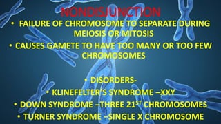 NONDISJUNCTION
• FAILURE OF CHROMOSOME TO SEPARATE DURING
MEIOSIS OR MITOSIS
• CAUSES GAMETE TO HAVE TOO MANY OR TOO FEW
CHROMOSOMES
• DISORDERS-
• KLINEFELTER’S SYNDROME –XXY
• DOWN SYNDROME –THREE 21ST CHROMOSOMES
• TURNER SYNDROME –SINGLE X CHROMOSOME
 