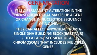 GENE MUTATION
IT IS A PERMANENT ALTERATION IN THE
DNA SEQUENCE THAT MAKES UP A GENE
OR CHANGE IN NUCLEOTIDE SEQUENCE
OF A GENE.
THEY CAN AFFECT ANYWHERE FROM A
SINGLE DNA BUILDING BLOCK(BASE PAIR)
TO A LARGE SEGMENT OF A
CHROMOSOME THAT INCLUDES MULTIPLE
GENES.
 