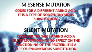 MISSENSE MUTATION
CODES FOR A DIFFERENT AMINO ACID.
IT IS A TYPE OF NONSYNONYMOUS
SUBSTITUTION.
SILENT MUTATION
CODE FOR THE SAME AMINO ACID.A
SILENT MUTATION HAS NO EFFECT ON THE
FUNCTIONING OF THE PROTEIN.IT IS A
TYPE OF SYNONYMOUS SUBSTITUTION.
 