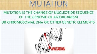 MUTATION IS THE CHANGE OF NUCLEOTIDE SEQUENCE
OF THE GENOME OF AN ORGANISM
OR CHROMOSOMAL DNA OR OTHER GENETIC ELEMENTS.
 