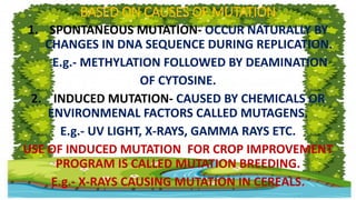 BASED ON CAUSES OF MUTATION
1. SPONTANEOUS MUTATION- OCCUR NATURALLY BY
CHANGES IN DNA SEQUENCE DURING REPLICATION.
E.g.- METHYLATION FOLLOWED BY DEAMINATION
OF CYTOSINE.
2. INDUCED MUTATION- CAUSED BY CHEMICALS OR
ENVIRONMENAL FACTORS CALLED MUTAGENS.
E.g.- UV LIGHT, X-RAYS, GAMMA RAYS ETC.
USE OF INDUCED MUTATION FOR CROP IMPROVEMENT
PROGRAM IS CALLED MUTATION BREEDING.
E.g.- X-RAYS CAUSING MUTATION IN CEREALS.
 
