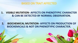 BASED ON TRAIT AFFECTED
1. VISIBLE MUTATION- AFFECTS ON PHENOTYPIC CHARACTER
& CAN BE DETECTED BY NORMAL OBSERVATION.
2. BIOCHEMICAL MUTATION- AFFECTS ON PRODUCTION OF
BIOCHEMICALS & NOT ON PHENOTYPIC CHARACTER.
 