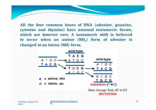 All the four common bases of DNA (adenine, guanine,
cytosine and thymine) have unusual tautomeric forms,
which are however rare. A tautomeric shift is believed
to occur when an amino (NH2) form of adenine is
changed to an imino (NH) form.
Tuesday, August 27,
2019
www.hbmahesh.weebly.co
m
10
Base change from AT to G C
MUTATION
 