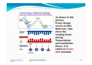 Central Dogma of Molecular Biology
Shows the connection between DNA, RNA & Protein
As shown in this
picture,
If any change
occurs in DNA
Molecule; that
alters the
reading frame
during
Transcription
and translation.
Hence, it is
called as Frame
shift mutation
Tuesday, August 27,
2019
www.hbmahesh.weebly.co
m
18
 