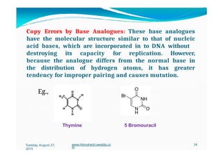 Copy Errors by Base Analogues: These base analogues
have the molecular structure similar to that of nucleic
acid bases, which are incorporated in to DNA without
destroying its capacity for replication. However,
because the analogue differs from the normal base in
the distribution of hydrogen atoms, it has greater
tendency for improper pairing and causes mutation.
Eg.,
Thymine 5 Bromouracil
Tuesday, August 27,
2019
www.hbmahesh.weebly.co
m
24
 
