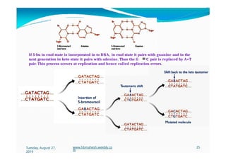 If 5-bu in enol state is incorporated in to DNA, in enol state it pairs with guanine and in the
next generation in keto state it pairs with adenine. Thus the G C pair is replaced by A=T
pair. This process occurs at replication and hence called replication errors.
Tuesday, August 27,
2019
www.hbmahesh.weebly.co
m
25
 