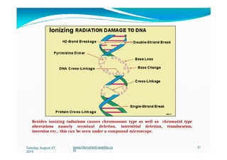 Ionizing
Besides ionizing radiations causes chromosome type as well as chromatid type
aberrations namely terminal deletion, interstitial deletion, translocation,
inversion etc., this can be seen under a compound microscope.
Tuesday, August 27,
2019
www.hbmahesh.weebly.co
m
31
 