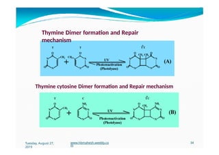 Thymine Dimer formation and Repair
mechanism
Thymine cytosine Dimer formation and Repair mechanism
Tuesday, August 27,
2019
www.hbmahesh.weebly.co
m
34
 