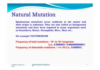 Natural Mutation
Spontaneous mutations occur suddenly in the nature and
their origin is unknown. They are also called as background
mutations and have been reported in many organisms such
as Oenothera, Maize, Drosophila, Mice, Man etc.,
For example TAUTOMERISM
Frequency of total mutations - 10-7 to 10-12/organism
(i.e., 0.0000001- 0.000000000001)
Frequency of detectable mutations - 1 in 106 (i.e., 0.000001)
Tuesday, August 27,
2019
www.hbmahesh.weebly.co
m
7
 