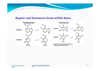 Regular and Tautomeric forms of DNA Bases
Tuesday, August 27,
2019
www.hbmahesh.weebly.co
m
9
 