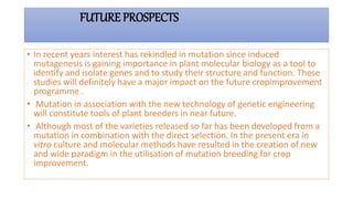Mutation Breeding in crop improvement - Past Present and future | PPTX