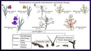 mutation, mutation nature, types presentation.pppt