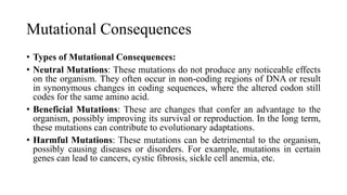Mutational Consequences
• Types of Mutational Consequences:
• Neutral Mutations: These mutations do not produce any noticeable effects
on the organism. They often occur in non-coding regions of DNA or result
in synonymous changes in coding sequences, where the altered codon still
codes for the same amino acid.
• Beneficial Mutations: These are changes that confer an advantage to the
organism, possibly improving its survival or reproduction. In the long term,
these mutations can contribute to evolutionary adaptations.
• Harmful Mutations: These mutations can be detrimental to the organism,
possibly causing diseases or disorders. For example, mutations in certain
genes can lead to cancers, cystic fibrosis, sickle cell anemia, etc.
 