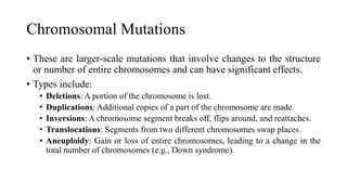 Chromosomal Mutations
• These are larger-scale mutations that involve changes to the structure
or number of entire chromosomes and can have significant effects.
• Types include:
• Deletions: A portion of the chromosome is lost.
• Duplications: Additional copies of a part of the chromosome are made.
• Inversions: A chromosome segment breaks off, flips around, and reattaches.
• Translocations: Segments from two different chromosomes swap places.
• Aneuploidy: Gain or loss of entire chromosomes, leading to a change in the
total number of chromosomes (e.g., Down syndrome).
 