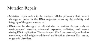 Mutation Repair
• Mutation repair refers to the various cellular processes that correct
damage or errors in the DNA sequence, ensuring the stability and
integrity of the genetic material.
• DNA can be damaged or altered due to various factors such as
environmental stresses, chemical exposure, radiation, and errors
during DNA replication. These changes, if left uncorrected, can lead to
mutations, which might result in cell malfunction, diseases like cancer,
or genetic disorders.
 