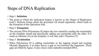 Steps of DNA Replication
• Step 1: Initiation
• The point at which the replication begins is known as the Origin of Replication
(oriC). Helicase brings about the procedure Of strand separation, which leads to
the formation of the replication fork.
• Step 2: Elongation
• The enzyme DNA Polymerase Ill makes the new strand by reading the nucleotides
on the template strand and specifically adding one nucleotide after the other. If it
reads an Adenine (A) on the template, it will only add a Thymine (T).
• Step 3: Termination
• When Polymerase Ill is adding nucleotides to the lagging strand and creating
Okazaki fragments, it at times leaves a gap or two between the fragments. These
gaps are filled by ligase. It also closes nicks indouble-stranded DNA.
 