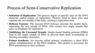 Process of Semi-Conservative Replication
• Initiation of Replication: The process begins at specific sites on the DNA
molecule called origins of replication. Proteins bind to these sites and
separate the two strands of the helix, creating a replication fork.
• Helicase Enzyme: The enzyme DNA helicase unwinds the double helix,
separating the two strands of DNA. This creates two single strands that
serve as templates for replication.
• Stabilizing the Unwound Strands: Single-strand binding proteins (SSBs)
bind to the single strands of DNA to prevent them from re-annealing or
forming secondary structures.
• Primer Synthesis: An enzyme called primase synthesizes a short RNA
primer complementary to the DNA template. This primer is necessary for
DNA polymerase to start synthesis.
 