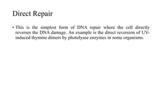 Direct Repair
• This is the simplest form of DNA repair where the cell directly
reverses the DNA damage. An example is the direct reversion of UV-
induced thymine dimers by photolyase enzymes in some organisms.
 