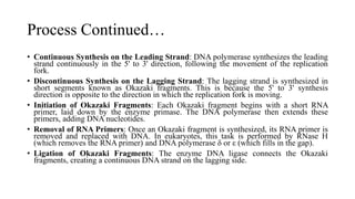 Process Continued…
• Continuous Synthesis on the Leading Strand: DNA polymerase synthesizes the leading
strand continuously in the 5' to 3' direction, following the movement of the replication
fork.
• Discontinuous Synthesis on the Lagging Strand: The lagging strand is synthesized in
short segments known as Okazaki fragments. This is because the 5' to 3' synthesis
direction is opposite to the direction in which the replication fork is moving.
• Initiation of Okazaki Fragments: Each Okazaki fragment begins with a short RNA
primer, laid down by the enzyme primase. The DNA polymerase then extends these
primers, adding DNA nucleotides.
• Removal of RNA Primers: Once an Okazaki fragment is synthesized, its RNA primer is
removed and replaced with DNA. In eukaryotes, this task is performed by RNase H
(which removes the RNA primer) and DNA polymerase δ or ε (which fills in the gap).
• Ligation of Okazaki Fragments: The enzyme DNA ligase connects the Okazaki
fragments, creating a continuous DNA strand on the lagging side.
 