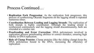 Process Continued…
• Replication Fork Progression: As the replication fork progresses, this
process of synthesizing Okazaki fragments on the lagging strand is repeated
numerous times.
• Coordination Between Leading and Lagging Strands: The replication of
both strands is highly coordinated. Although the leading strand is
synthesized continuously and the lagging strand discontinuously, both are
extended at a similar rate.
• Proofreading and Error Correction: DNA polymerases involved in
replication possess proofreading abilities to correct mistakes, ensuring high
fidelity in DNA replication.
• Role of Clamp Proteins: Clamp proteins (like the sliding clamp) keep the
DNA polymerase bound to the DNA, increasing the efficiency of
replication.
 