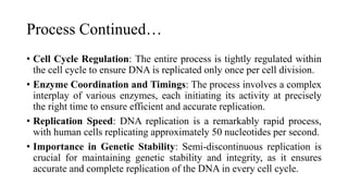 Process Continued…
• Cell Cycle Regulation: The entire process is tightly regulated within
the cell cycle to ensure DNA is replicated only once per cell division.
• Enzyme Coordination and Timings: The process involves a complex
interplay of various enzymes, each initiating its activity at precisely
the right time to ensure efficient and accurate replication.
• Replication Speed: DNA replication is a remarkably rapid process,
with human cells replicating approximately 50 nucleotides per second.
• Importance in Genetic Stability: Semi-discontinuous replication is
crucial for maintaining genetic stability and integrity, as it ensures
accurate and complete replication of the DNA in every cell cycle.
 