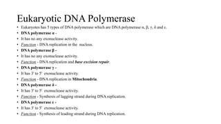Eukaryotic DNA Polymerase
• Eukaryotes has 5 types of DNA polymerase which are DNA polymerase α, β, γ, δ and ε.
• DNA polymerase α -
• It has no any exonuclease activity.
• Function - DNA replication in the nucleus.
• DNA polymerase β -
• It has no any exonuclease activity.
• Function - DNA replication and base excision repair.
• DNA polymerase γ -
• It has 3' to 5' exonuclease activity.
• Function - DNA replication in Mitochondria.
• DNA polymerase δ -
• It has 3' to 5' exonuclease activity.
• Function - Synthesis of lagging strand during DNA replication.
• DNA polymerase ε -
• It has 3' to 5' exonuclease activity.
• Function - Synthesis of leading strand during DNA replication.
 