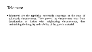 Telomere
• Telomeres are the repetitive nucleotide sequences at the ends of
eukaryotic chromosomes. They protect the chromosome ends from
deterioration or fusion with neighboring chromosomes, thus
maintaining the integrity and stability of the genetic material.
 