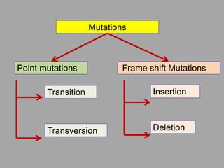 Mutations | PPTX