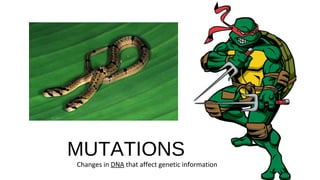 MUTATIONS
Changes in DNA that affect genetic information
 