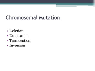 Immutation Mutations | PPTX