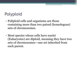 Polyploid Mutations Mutations | PPTX